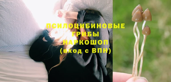 индика Майский