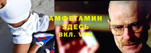 индика Майский