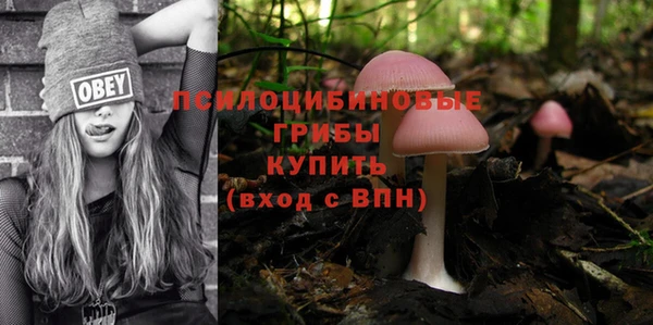 индика Майский