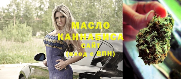 индика Майский