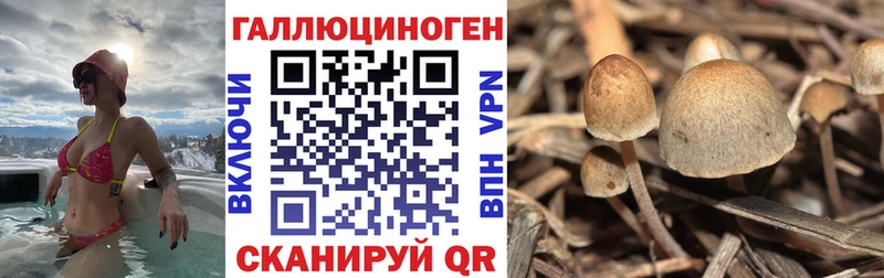 Галлюциногенные грибы мицелий  Купить закладки  Саяногорск 